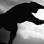 National Rugby League Premiership
