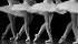 Ballet y Danza