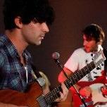 Foals