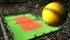 ABN AMRO World Tennis Tournament