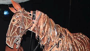 War Horse