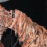 War Horse