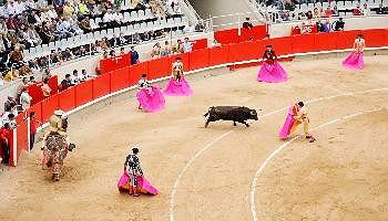 Feria del Arte y la Cultura entradas