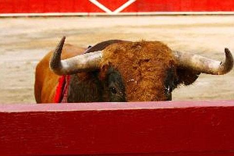 Entradas Otros Festejos Toros