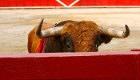 Entradas Otros Festejos Toros