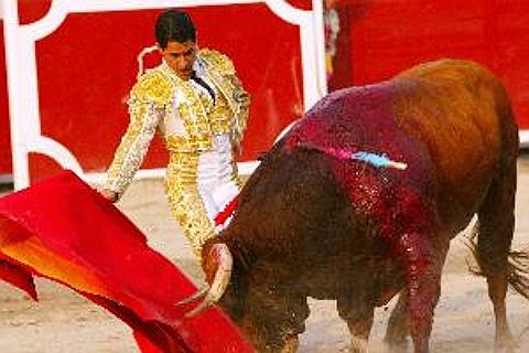 Entradas Feria de Pontevedra