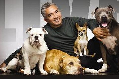 The Dog Whisperer Tickets