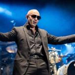 Pitbull
