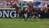 French Oaks - Prix de Diane