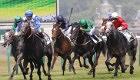 French Derby - Prix du Jockey Club Tickets
