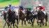French Derby - Prix du Jockey Club