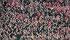 Audi Cup Tickets