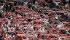 Rayo Vallecano