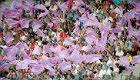 Evian TG Tickets