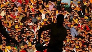 Wallabies Tickets