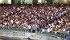 Kitchee FC Tickets