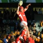 Autumn Internationals