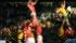 Autumn Internationals Tickets