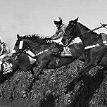 Prix Vermeille - Prix Foy - Prix Niel