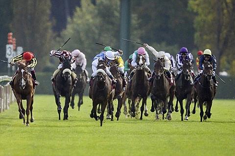 Prix de L'Arc de Triomphe Liput