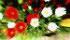 Chelsea Flower Show Billetter