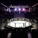UFC