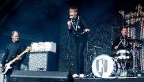 The Hives