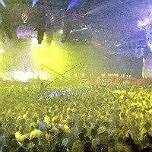 Sensation White